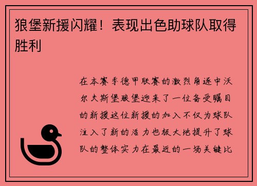 狼堡新援闪耀！表现出色助球队取得胜利